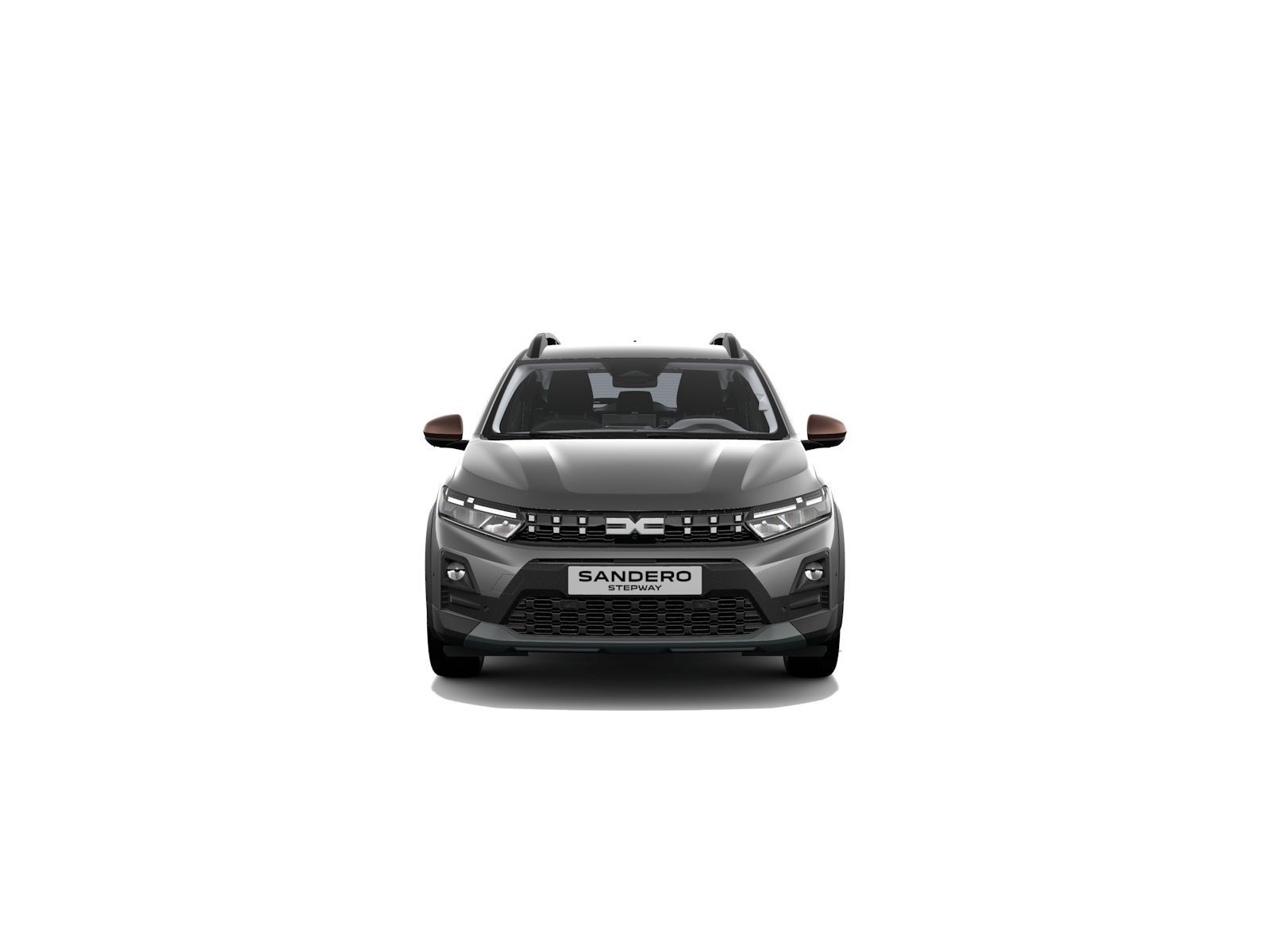 Fahrzeugabbildung Dacia Sandero TCe 110 Stepway Extreme *Winter-Paket*