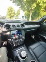 Ford Mustang Performance Shelby GT - Ford Mustang: Performance