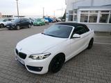 BMW 218-i Cabrio Sport Line AT*LED*SH*PDC*NAVI - BMW 218: I