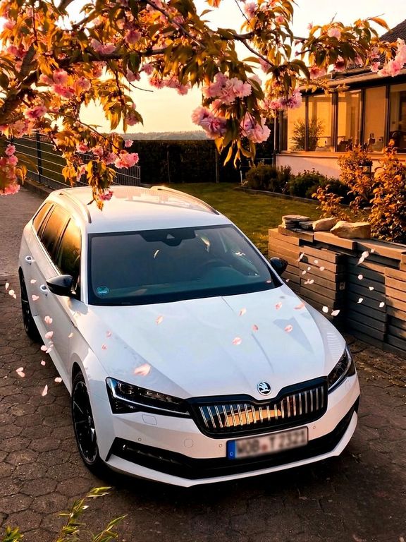 Image of Skoda Superb