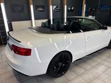 Audi A5 3.0 TDI S tronic quattro Cabriolet - - Audi A5 mit Diesel-Antrieb: Cabrio, 3.0