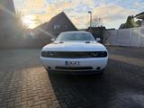 Dodge Challenger 3,6 V6, Neuer Motor neues Getriebe - Dodge aus 2011