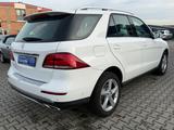 Mercedes-Benz GLE 250 d 4Matic** aus 2. Besitz ** TOP ZUSTAND - Mercedes-Benz GLE 250 Gebrauchtwagen
