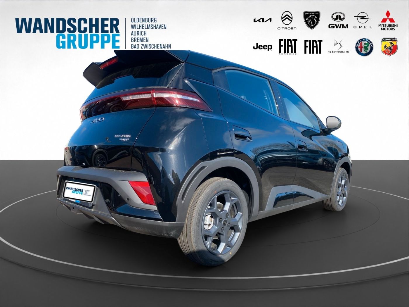 BYD DOLPHIN SURF