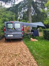 Renault Trafic Camper EZ12/20, 38.600 km, Selbstausbau   - Renault Trafic