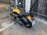 BMW Cruiser R 1200 C Independent - Offers