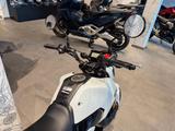 Honda MSX 125 Grom 2025 White *Tageszulassung 08-25* - Honda MSX125 Grom