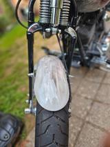 Harley-Davidson CVO Springer  SCREAMIN EAGLE 110ER - Motorräder in Wiesbaden