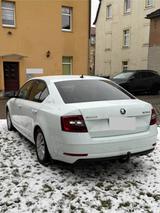 Skoda Octavia 2.0 TDI DSG Drive  - Skoda Octavia Drive mit Diesel-Antrieb