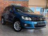 Volkswagen Tiguan 2.0TDI-Xenon-Navi-AHK-Kamera-Tempomat-Eu6 - Volkswagen Tiguan: Eu