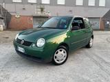 Volkswagen Lupo 1.0 cat Trendline - Volkswagen Lupo: Grün