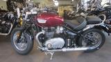 Triumph Speedmaster Bonneville - Angebote