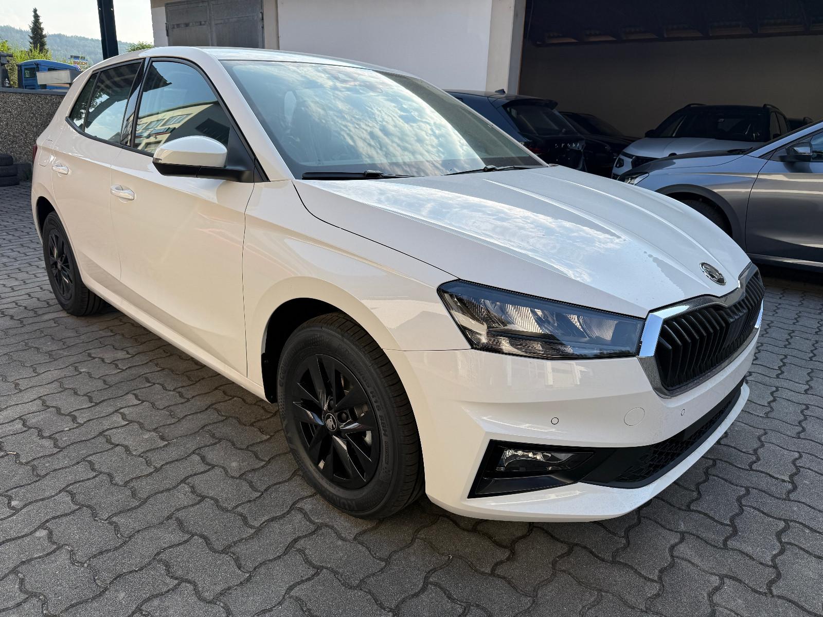 Skoda Fabia 1.0 TSI PDC Kamera SH Alu 15" 5J Garantie