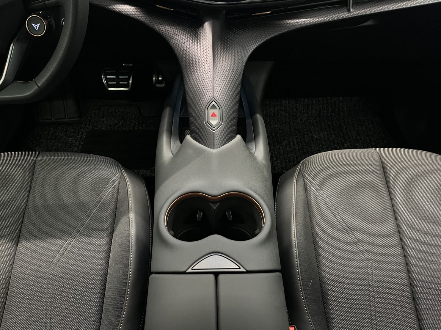 Cupra Tavascan - Bild 14