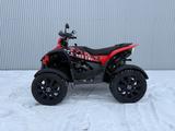 TGB Gunner 550 4x2 LOF  nur 1500km - QUAD 150