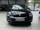 Volkswagen Beetle Lim. Cup AUTOMATIK*Panorama*uvm. - Volkswagen Beetle: Schwarz