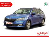 Skoda Fabia Combi 1.0 TSI DSG Ambition SmartLink DAB - Skoda Fabia Gebrauchtwagen in Dresden