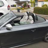 Audi TT RS Roadster 2.5 TFSI quattro - - gebrauchte Audi TT RS aus dem Jahr 2011