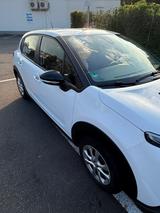 Citroën C3 PureTech 83 Stop&Start LIVE LIVE - Citroen C3 Stop-&-Start mit Benzin-Antrieb