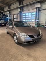 Nissan Primera 2.0 Benzin 1. Hand - Nissan Primera Benziner Gebrauchtwagen
