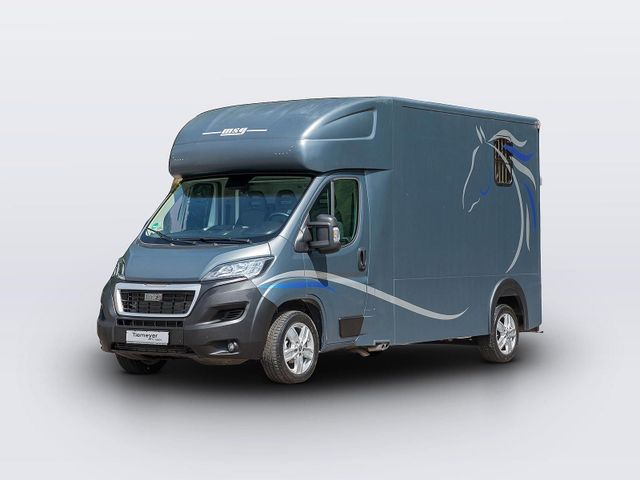 Peugeot Boxer MSG Pferdetransporter Navi AHK GJR