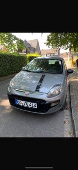 Fiat Punto 1.2 8V POP POP - Fiat Punto in Essen