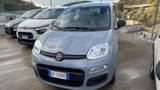 Fiat Panda 1.0 FireFly S&S Hybrid Easy - Fiat Panda EASY mit Hybrid-Antrieb (Benzin/Elektro)