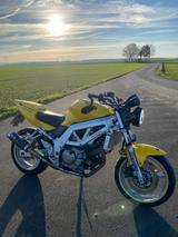Suzuki SV 650 Manthey Edition - SUZUKI 2004 SV650