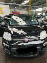 Fiat New Panda 1.2 8V LOUNGE LOUNGE - Fiat New Panda von privat