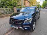 Mercedes-Benz ML 350 BlueTEC 4MATIC-STH.-PANOR.D-VOLLLEDER-AHK - Mercedes-Benz ML 350 in Essen
