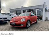 Volkswagen Beetle Cabriolet 2.0 TDI DSG Club Klima Navi - Volkswagen Beetle: TDI