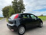 Fiat Punto 1,4     2018 TÜV 11/2027 - Fiat Punto