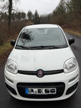 Fiat Panda  - Fiat Panda Gebrauchtwagen in Karlsruhe