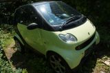 Smart ForTwo coupé pulse 45kW pulse - Smart ForTwo mit Benzin-Antrieb: Coupé, Pulse