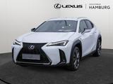 Lexus UX 300 h F Sport Design SHZ NAVI LENKRADHEIZUNG - Lexus UX Tageszulassungen