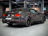 Ford Mustang  Cabrio GT 500 ShelbyLook Tüv Neu 1.Hand - Ford Mustang: Cabrio, Gt500