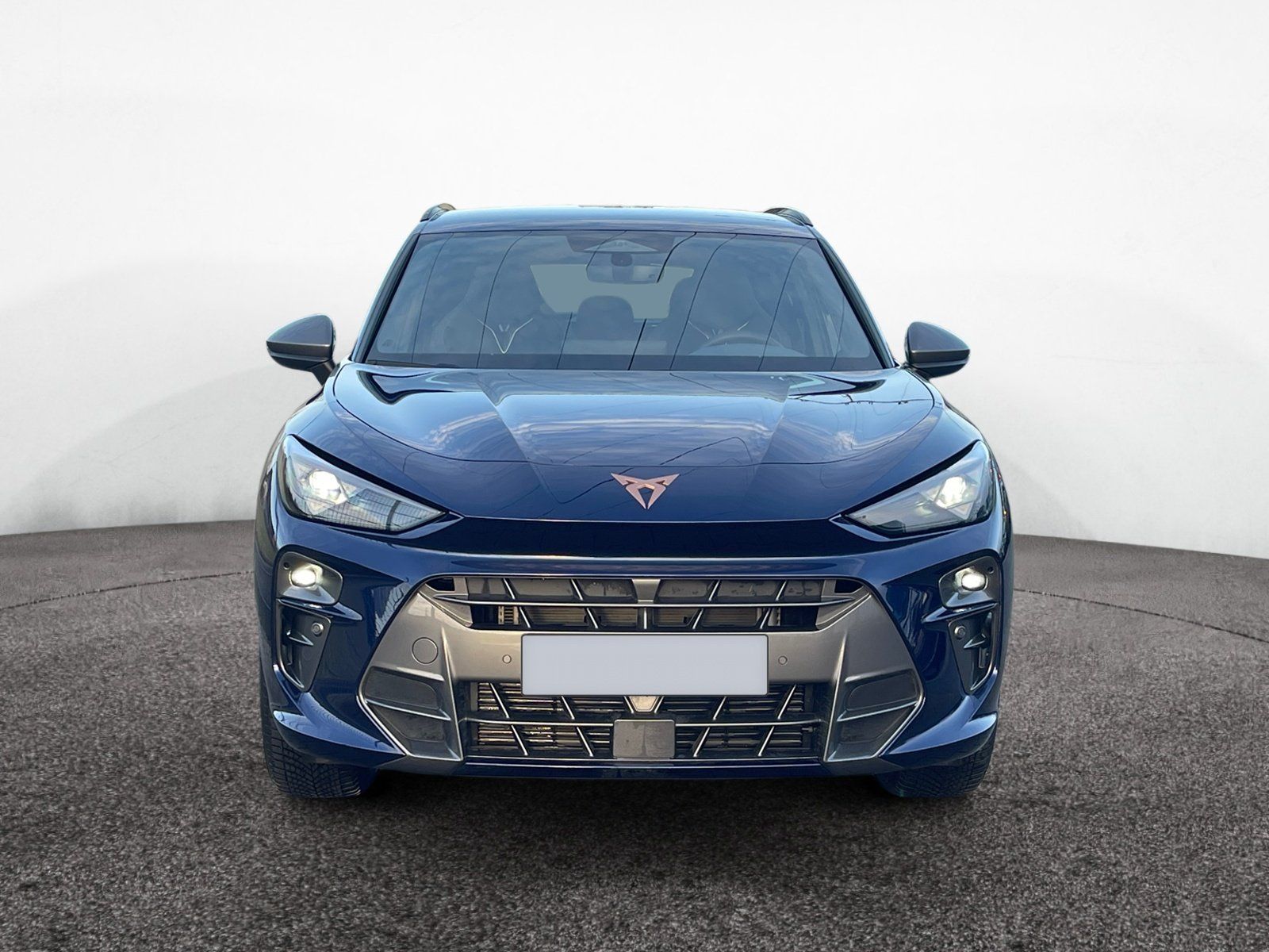 Cupra Terramar - Bild 2