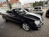 Mercedes-Benz CLK 200 7G Leder Nappa BI-Xenon Memory-Sitze - Mercedes-Benz CLK 200: Cabrio