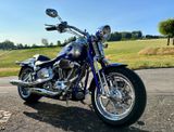 Harley-Davidson Einmalige CVO Springer 2009 - HARLEY-DAVIDSON 2009 CVO