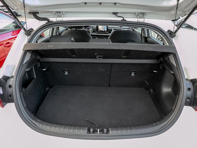 Kia Rio 1.2 Vision Drive-Assist-Paket Advanced