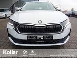 Skoda Octavia 1.5 eTSI DSG Selection Facelift Navi ACC - gebrauchte Skoda Octavia mit Facelift