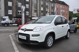 Fiat Panda Pandina-5-Sitzer- - Fiat Panda: Sitzer