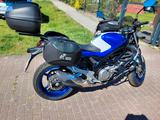 Suzuki Gladius - Angebote