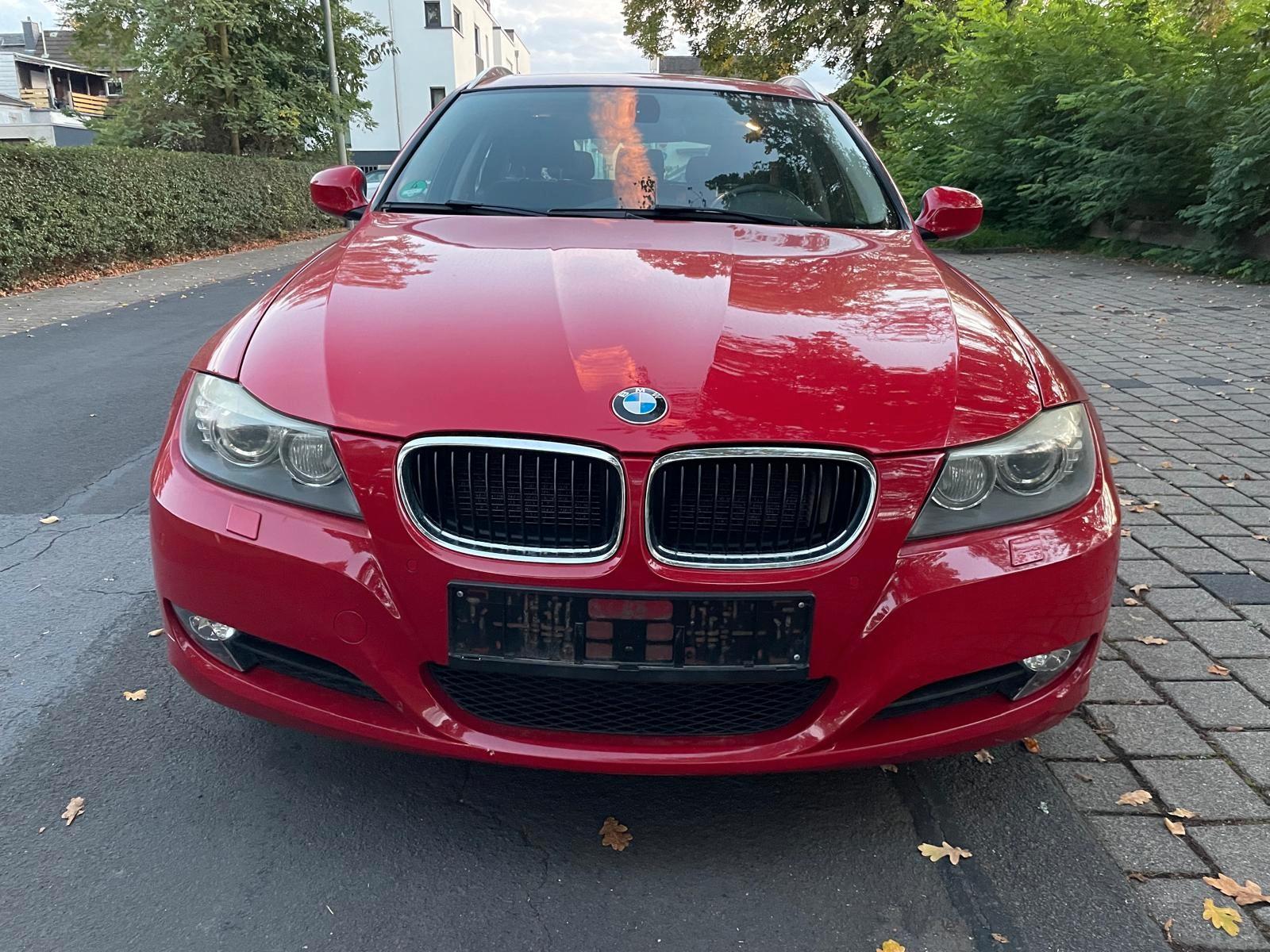 BMW 318 2011 — вигляд ззаду