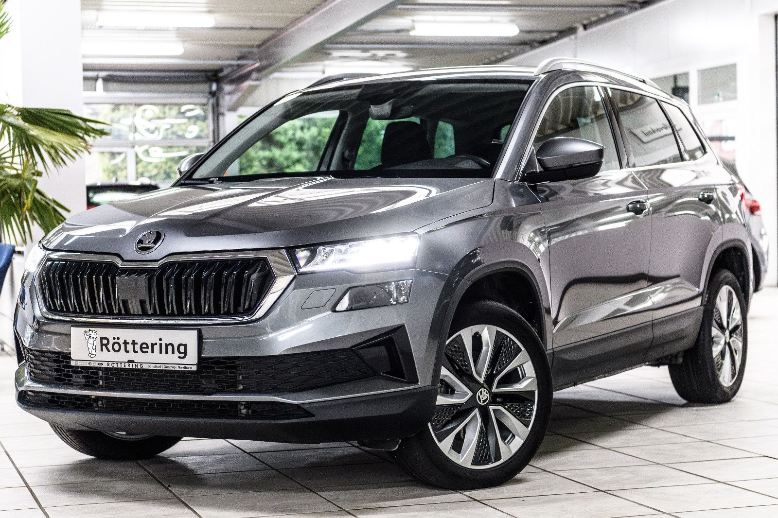 Fahrzeugabbildung SKODA Karoq Selection