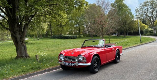 Triumph TR4 Schön, robust und preiswert.
