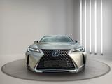 Lexus UX 250h - - Lexus UX Gebrauchtwagen