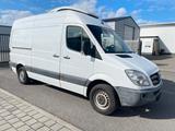 Mercedes-Benz Sprinter 313 Kühlkastenwagen  - Mercedes-Benz Mannheim