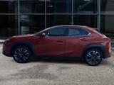 Lexus UX 250h  (E-FOUR) Luxury Line - Lexus UX 250h Gebrauchtwagen