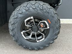 CFMOTO CForce 450 L 4x4 ABS + AKTIONSPREIS bis 19.04.26